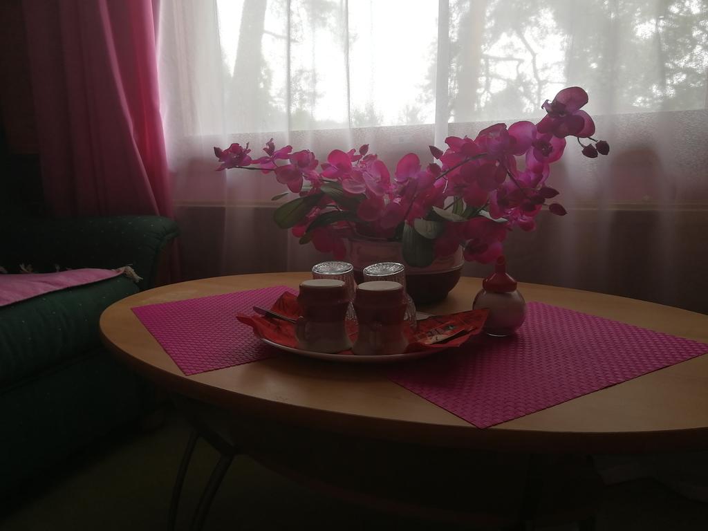 Hotel Villa Vanessa Siltakylä Zewnętrze zdjęcie